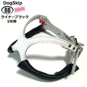 ofB[xgpCi[5p(2) ubN BUDDY BELT BUDDYBELT  p ybg hbO ofB[xgKA㗝X KX