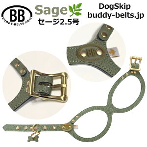 バディーベルト ハーネス 2.5号 セージ Sage 小型犬 ペット レザー 本革 BUDDYBELT バディベルト 犬用 胴輪 リングハーネス メガネハーネス ボディベルト バディーベルト正規輸入代理店 首輪 犬の