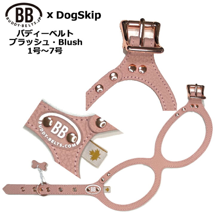 楽天市場】バディーベルト ハーネス 1号～7号 ブラッシュ Blush 小型犬 