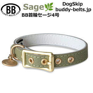 BB 4 Z[W Sage ^ ybg U[ {v BUDDYBELT ofBxg p  iD  W[Y u[ ofB[xgKA㗝X ofB[xg̔ KX