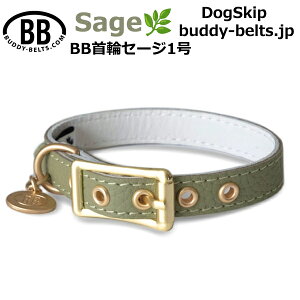 BB 1 Z[W Sage ^ ybg U[ {v BUDDYBELT ofBxg p  iD  W[Y u[ ofB[xgKA㗝X ofB[xg̔ KX