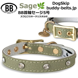 BB 5 Z[W Sage XtXL[NX^t ^ ybg U[ {v BUDDYBELT ofBxg p  iD  W[Y u[ ofB[xgKA㗝X o