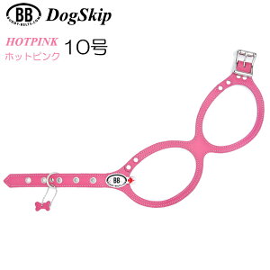  n[lX ofBxg 10 zbgsN HOT PINK ybg  U[ {v ^p BUDDY BELT BUDDYBELT  p ybg hbO ofB[xgKA㗝X KX