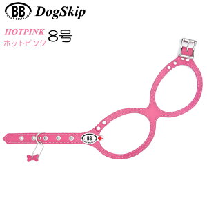  n[lX ofBxg 8 zbgsN HOT PINK ybg  U[ {v ^p BUDDY BELT BUDDYBELT  p ybg hbO ofB[xgKA㗝X KX