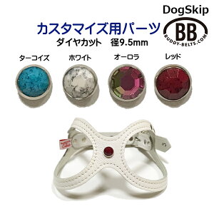 up[cio[0010 _CJbgEa9.5mmv buddybelt customize buddybelts customs ofB[xgKA㗝X KX