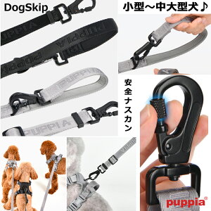 psA bN[hFMALTCY JAREK LEAD  PUPPIA ybg hbO z y U  ^ ^ ^   iD p ߂o܂B˂h~ׂ̈̊炩3