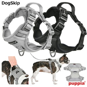 psA bNn[lXHFM,L,XL,XXL,3LTCY JAREK HARNESS H  PUPPIA ybg hbO xXg   n[lX pn[lX  z y U xXgn[lX hbOn[lX    