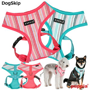 PUPPIA psA e[Xn[lXAFS,M,L,XLTCY p  THEROS HARNESS A ybg hbO   n[lX pn[lX  z y U n[lX hbOn[lX ^ ^ 