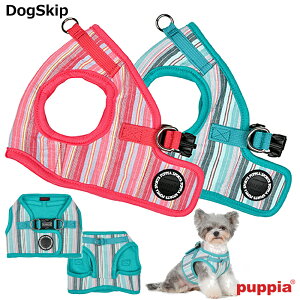 psAe[Xn[lXBFS,M,L,XLTCY THEROS HARNESS B  PUPPIA psA ybg hbO xXg   n[lX pn[lX  z y U xXgn[lX hbOn[lX    