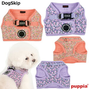 PAnn[lXBFS,M,L,XLTCY KEALOHA HARNESS B  psA PUPPIA psA ybg hbO xXg   n[lX pn[lX  z y U xXgn[lX hbOn[lX   