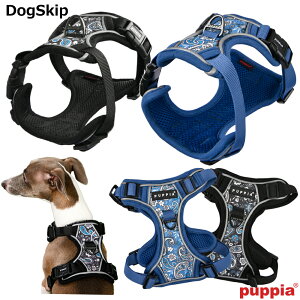 VVAn[lXHFS,M,L,XLTCY p  CYNTHIA HARNESS H PUPPIA CORWIN HARNESS X psA ybg hbO