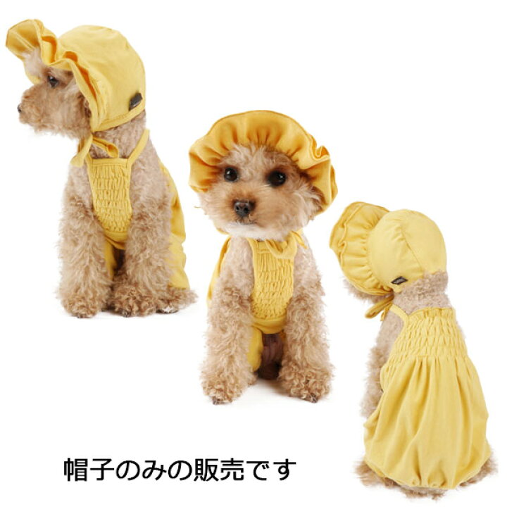 人気の新作 Puppy 犬用 Hat パピーエンジェル PAウルルキュートハット Angel Cute 犬