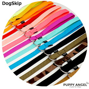 p PAAW[l}KWIrrbhXgO[h ^  ps[GWF Puppy Angel(R) ANGIONE MAGAGIO Vivid Strong Leads