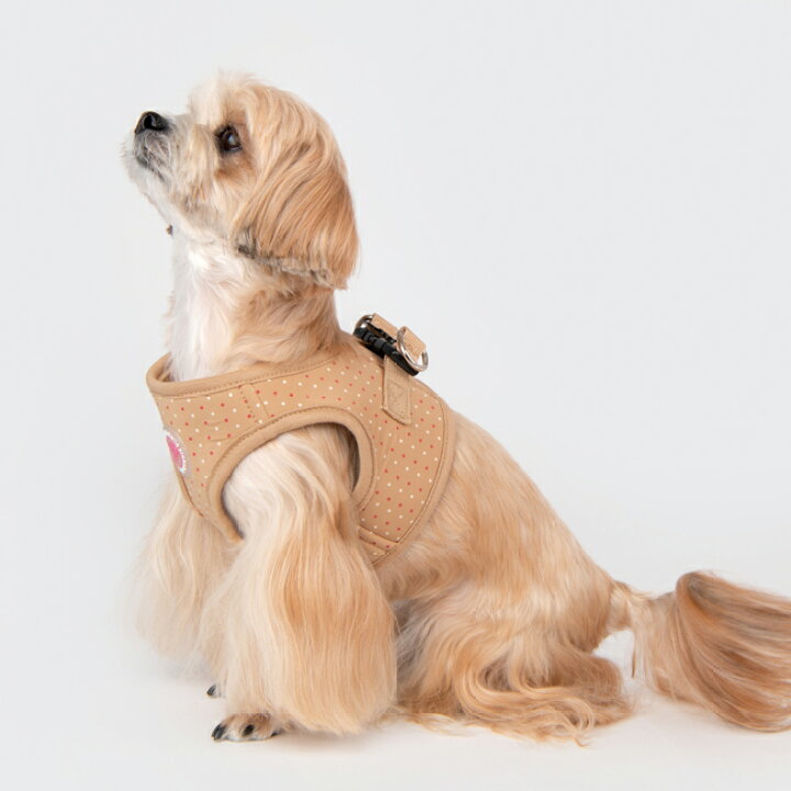 ペット用品 犬 犬用 ドックウエア ピンク ペット わんちゃん ピンカホリック ドックウェア ドッグウェア 犬服 ハーネスセットパンツ 服 小型犬用