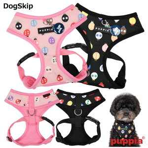 p  fBr[gn[lXAFXLTCY LADY BEETLE HARNESS A PUPPIA psA ybg hbO