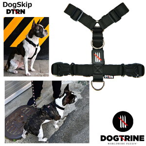 hbOg fCEH[Nn[lXFMTCY dogtrine Daywalk Harness p ybg hbO ^ ^ IV Vv  y 􂦂 t`uhbO Č ` gCv[h 