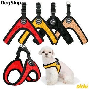 RrVobNn[lXFS,M,LTCY OLCHI Combi V Buckle Harness  p I` ybg hbO