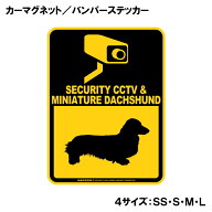 ミニチュアダックスフンド 防犯カメラ セキュリティー カーマグネット＆バンパーステッカー 英語 監視中 …