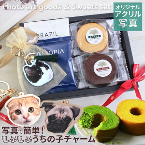 y ybgG MtgZbg L   ʐ^ v[g̎q  FB LObY lR 킢 I[_[Ch a R[q[zSweetPet ̎qʃA[g Cafe Time MtgZb