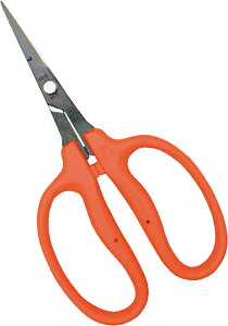 y[ցIz `J}T B-500H EԁE Ԃǂ BP ߐ CHIKAMASA {