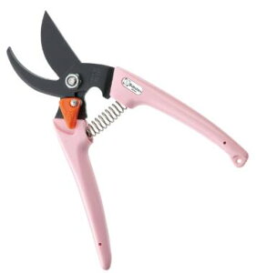 y[ցIz T{e 1201-P fB[X isNj Saboten 