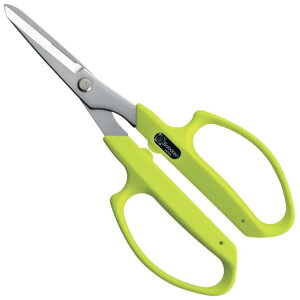 y[ցIz T{e 1280SL |VCJbgvX iCO[j Saboten