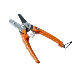 y[ցIz T{e 1270 Ar^ Saboten 