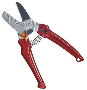 y[ցIz T{e EX-5 i؂j Saboten 