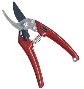 y[ցIz T{e EX-6 fB[X Saboten 