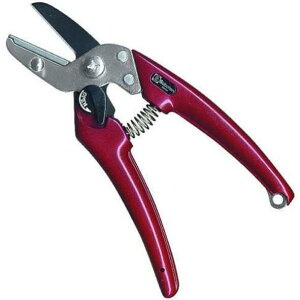 y[ցIz T{e EX-8 fB[X Saboten 