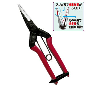 �y���[���ցI�z �`�J�}�T T-601K BP ��^�E���� �n�攖�n �щ��� �ߐ� �͂��� ���| CHIKAMASA ���{��