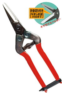 y[ցIz `J}T E-6C _ ߐ ͂ | CHIKAMASA {