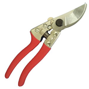 y[ցIz@@J}Liݖ{_H쏊j No.878 A~nh SF200mm