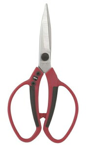 y[ցIz@@J}Liݖ{_H쏊j No.650DN@|@SF210mm