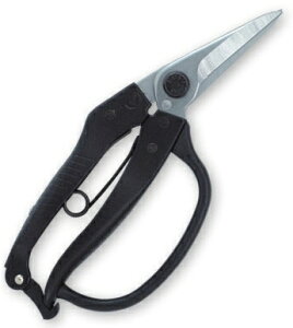 y[ցIz@@J}Liݖ{_H쏊j No.Z-21K K[ht} inj@SF210mm