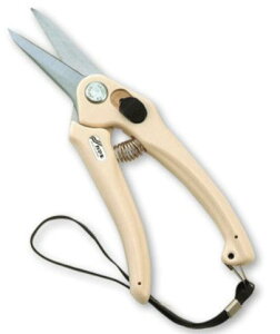 y[ցIz@@J}Liݖ{_H쏊j No.P901H inj @SF195mm