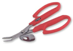 y^[pbNvXցIz T{e NO.5-B EĂt (낢ȃ^Cv̎G) Saboten