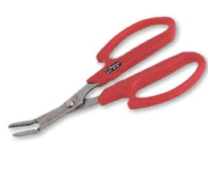 y[ցIz T{e NO.5-A  (낢ȃ^Cv̎G) Saboten