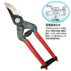 y[ցIz@@ `J}T PST-8 190 ߐ ͂ | CHIKAMASA {