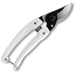 y[ցIz@@AX 130B~j`LubN { ARS  ͂