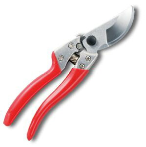 y[ցIz@@AX VS-9Z uCGXiC { ARS  ͂