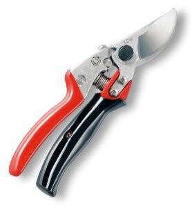 y^[pbNvXցIz AX VS-8R uCGXGCg[^[ { ARS  ͂