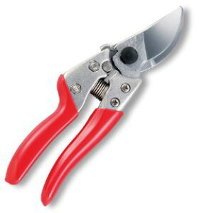 y[ցIz@@AX VS-7Z uCGXZu { ARS  ͂