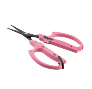 y[ցIz T{e B-1AT I[g}`bNԂǂ גn Saboten(T{e) | ͂