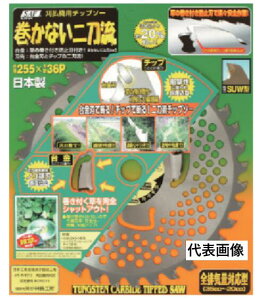 �y���[���ցI�z�Z�t�e�B 657597 �����Ȃ��񓁗� 230 x 32P �����@�p�`�b�v�\�[ SAF ���ѓS�H�� ���{�������p�`�b�v�\�[