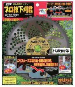 �y���[���ցI�z�Z�t�e�B 655326 �v���Z�����N 230 x 28P �����@�p�`�b�v�\�[ SAF ���ѓS�H�� ���{�������p�`�b�v�\�[