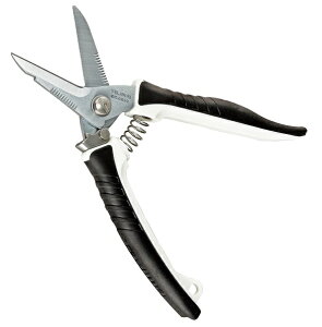 y[ցIz@@^W} DK-BB50 obgP[u [TJMfUCn dHnT~ ͂ 