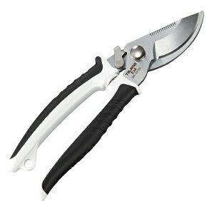 y[ցIz@@^W} DK-BM50 obg[ [TJMfUCn dHnT~ ͂ 