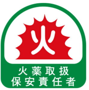 y[ցIzg[[ 68-029 TOYO wbgpV[ NO.68-029mYH TOYO SAFETY g[[Z[teB@