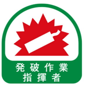 y[ցIzg[[ 68-030 TOYO wbgpV[ NO.68-030mYH TOYO SAFETY g[[Z[teB@